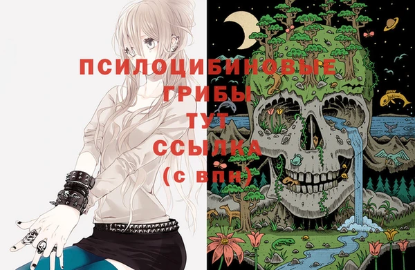 бошки Орск