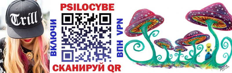 сайты даркнета состав  Таштагол  Галлюциногенные грибы Psilocybine cubensis 